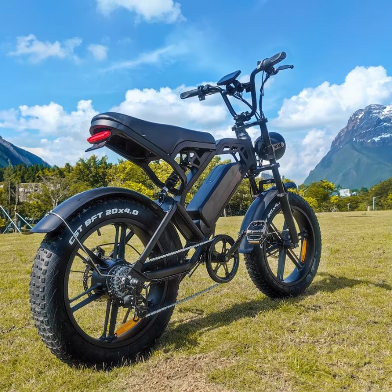 YTYIN 2024 Made In China Facto - Folding Electric Scooter review and price